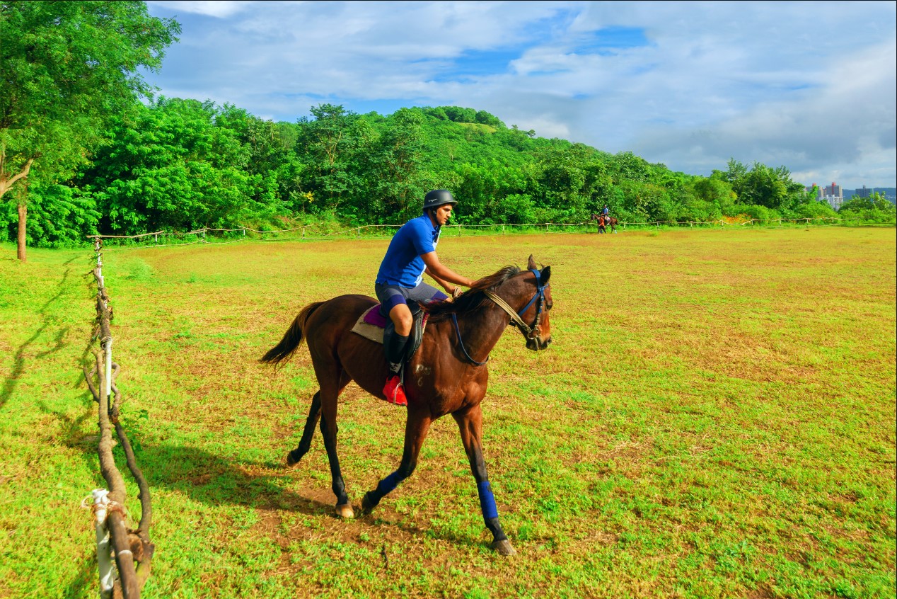 Horse Riding